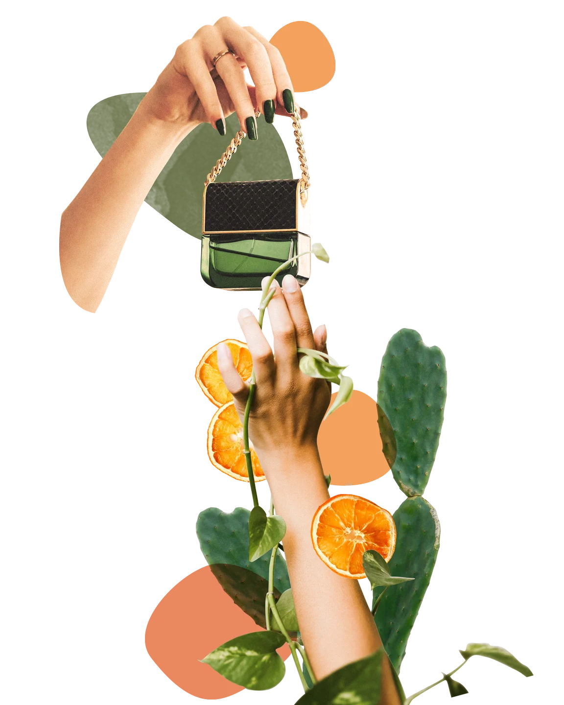 Ohoskin, Brand · Digital by LUX Media Network
